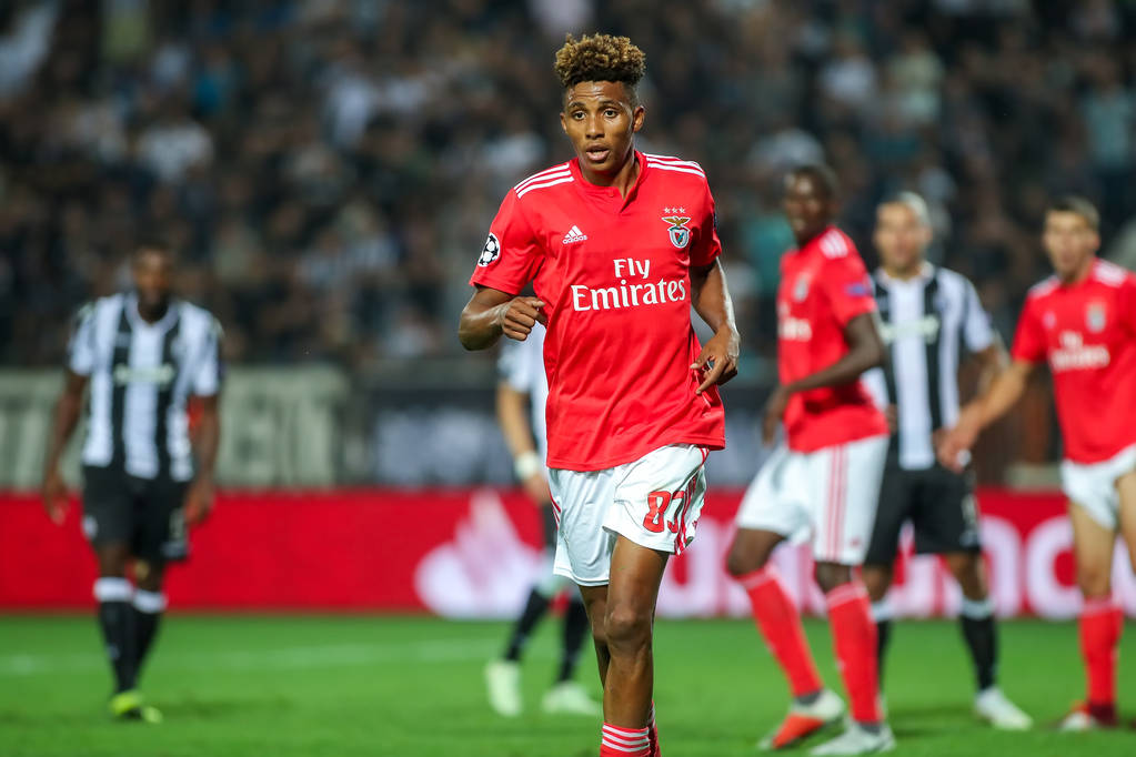 包含全明星赛国际比赛日走向成谜，葡萄牙体育刷新队史纪录，管理层满意，球探报告显示潜力的词条